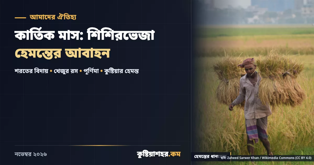 কার্তিক মাসে হেমন্তের ধানক্ষেত